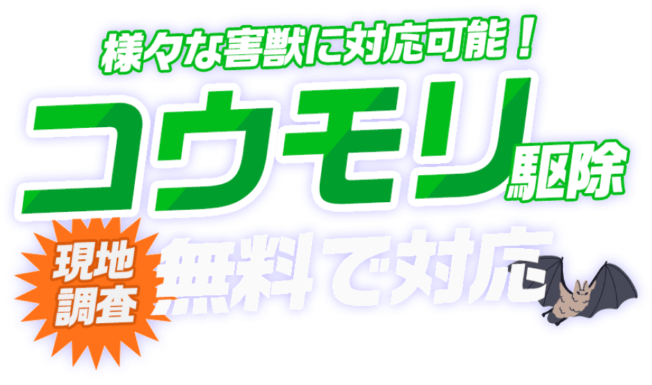 様々な害獣に対応可能！コウモリ駆除 現地調査 無料で対応