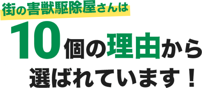 街の害獣駆除屋さんは10個の理由から選ばれています！