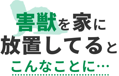 害獣を家に放置してるとこんなことに…