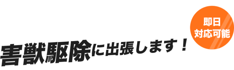 日本全国どこでも害獣駆除に出張します！即日対応可能