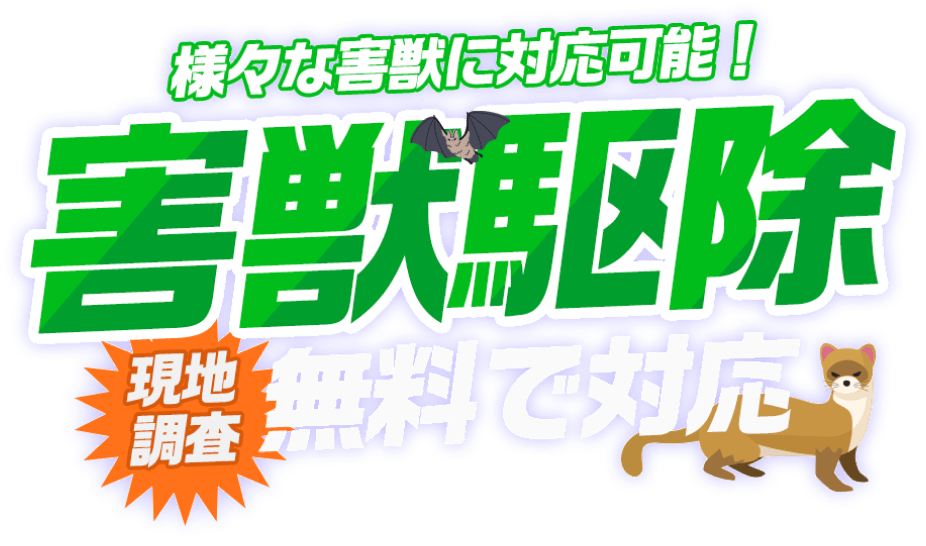 様々な害獣に対応可能！害獣駆除 現地調査 無料で対応