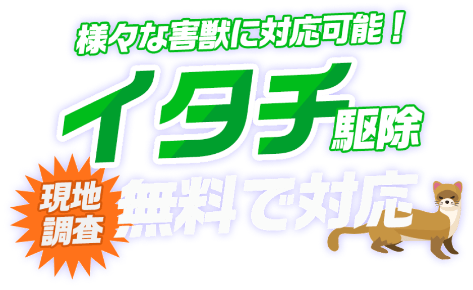 様々な害獣に対応可能！イタチ駆除 現地調査 無料で対応