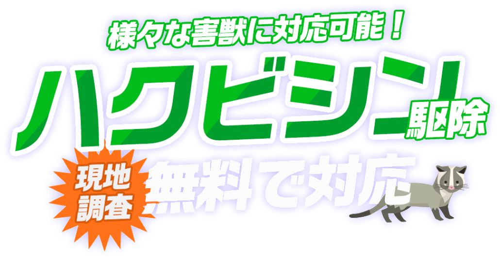 様々な害獣に対応可能！ハクビシン駆除 現地調査 無料で対応